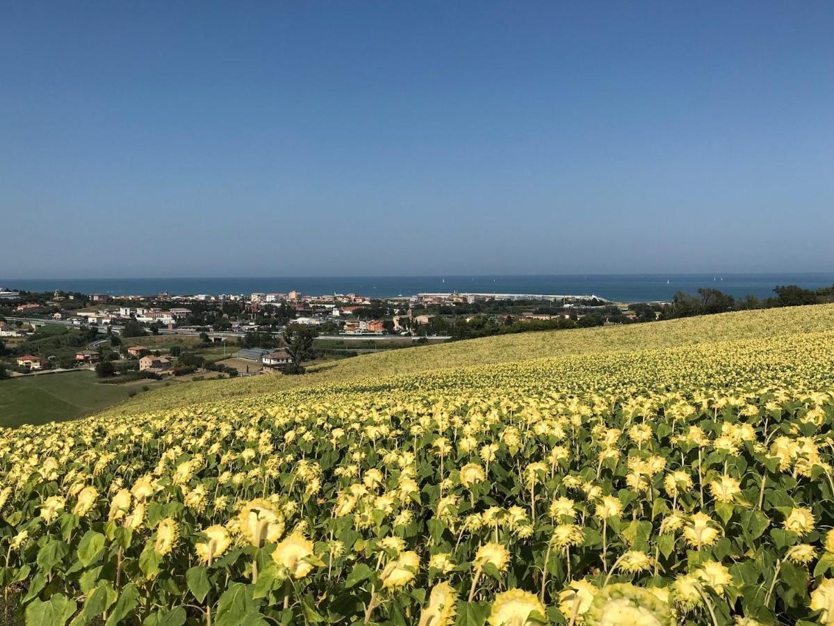 Agricampeggio Abbruzzetti Marina Palmense Exterior foto